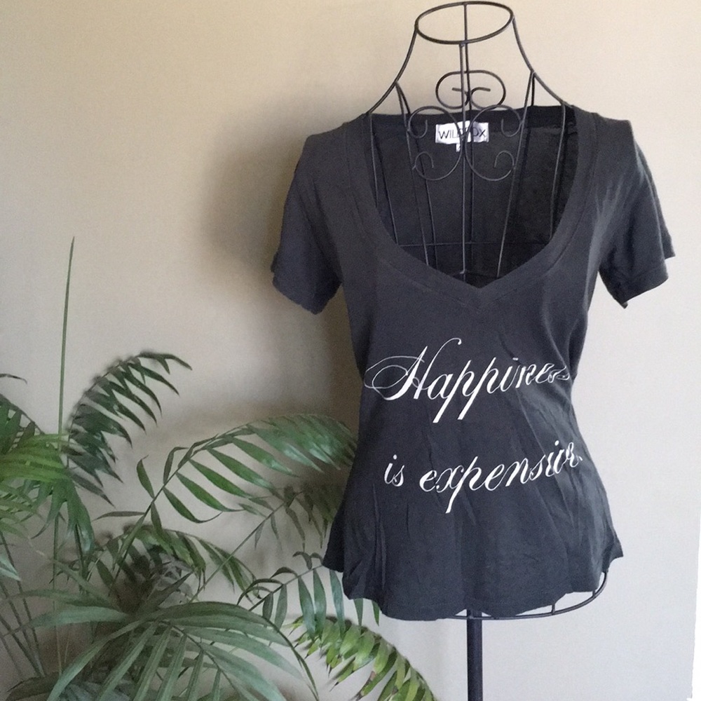 LAST DAY ON POSH 8/15/26 Deep V Neck Tee High Low Hem Loose Fit